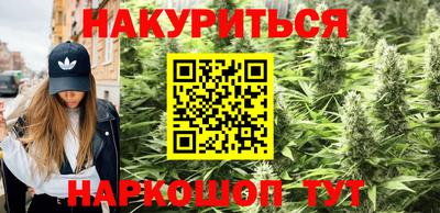 прущие крисы Славгород